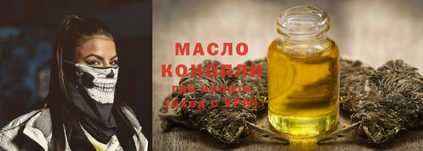 мдпв Богородск