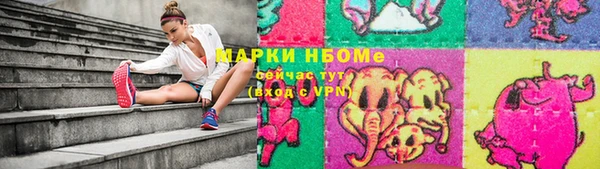 мдпв Богородск
