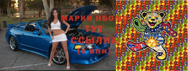 мдпв Богородск