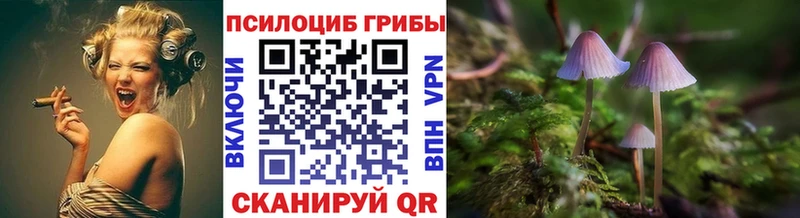 Галлюциногенные грибы Psilocybe Городище