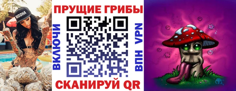 Галлюциногенные грибы Psilocybe  продажа наркотиков  Городище 